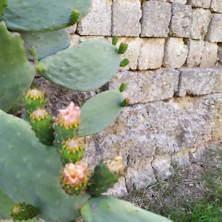 Aura Mare Salento * Тавьяно